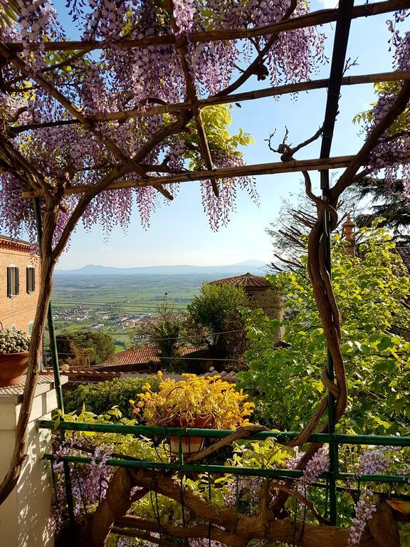Апартаменты Casa Dell'Ermanna Кортона Экстерьер фото
